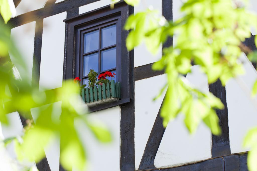Romantik Hotel Alte Vogtei Hamm  Buitenkant foto